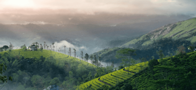 Kovalam